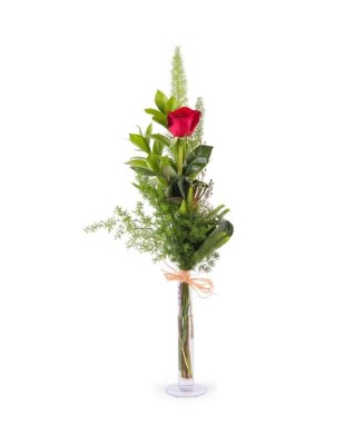 Rosas Rojas - Floristería en Don Benito
