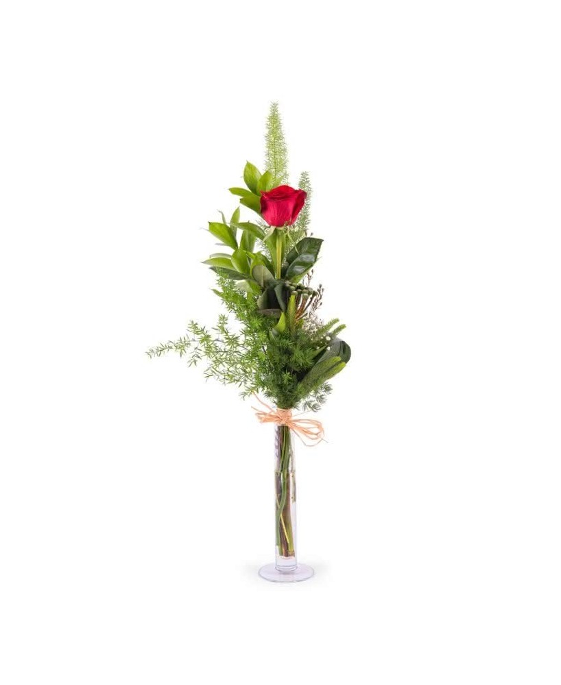 Rosas Rojas - Floristería en Don Benito