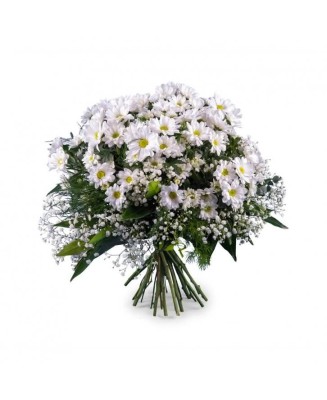Ramo de margaritas - Floristería La Gardenia - Don Benito