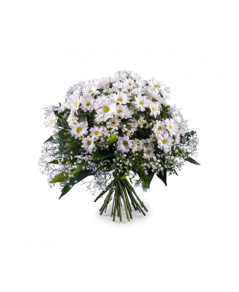 Ramo de margaritas - Floristería La Gardenia - Don Benito