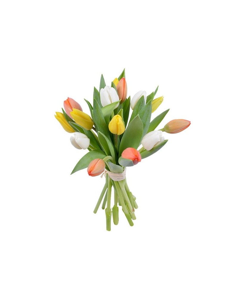 Ramo de tulipanes - Floristería La Gardenia - Don Benito