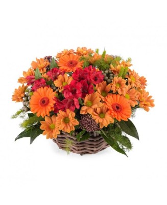 Cesta de flores  - Floristería La Gardenia - Don Benito