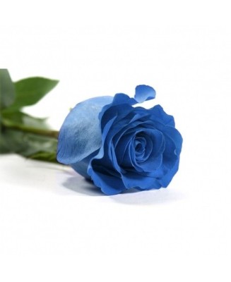 Rosa eterna - Floristería en Don Benito