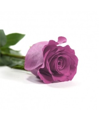 Rosa eterna - Floristería en Don Benito