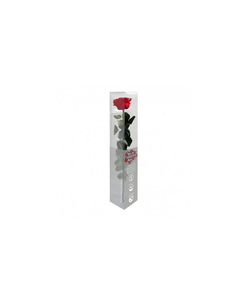 Rosa eterna - Floristería en Don Benito