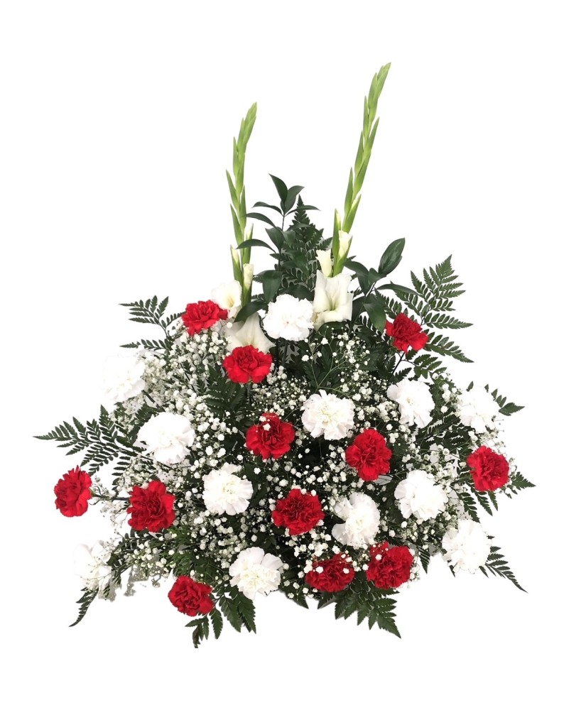 Centro de claveles  - Floristería La Gardenia - Don Benito