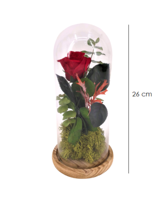 Rosa eterna Bella y Bestia - Floristería en Don Benito